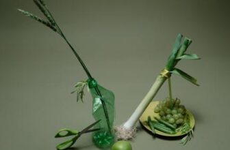 Best Monitors for Dual Setup Graphic Design Workstations