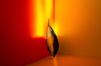 Rytr vs Writecream: Which AI Writer Offers More Features?