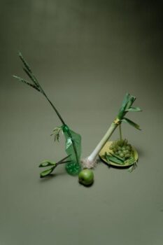 How to Use Adobe Illustrator to Create Vector Graphics