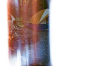 AI-Driven Decision Support Systems in Business Analytics