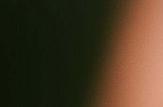 Best Monitors with HDR Support for Animation and Design