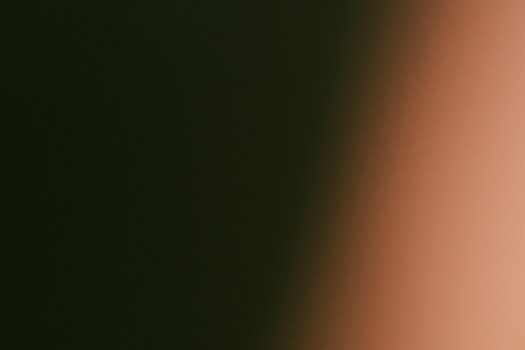 Best Monitors with HDR Support for Animation and Design