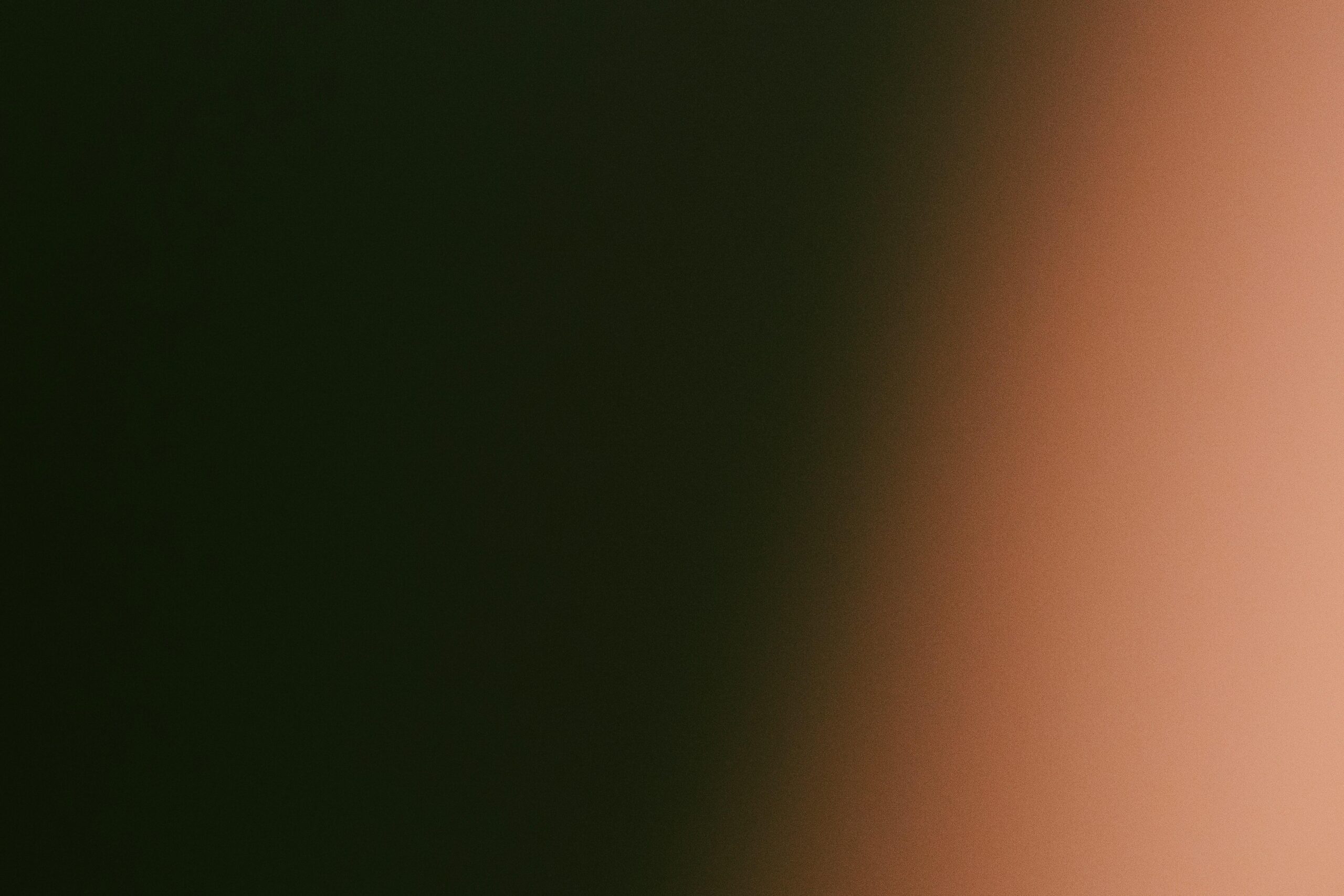 Best Monitors with HDR Support for Animation and Design